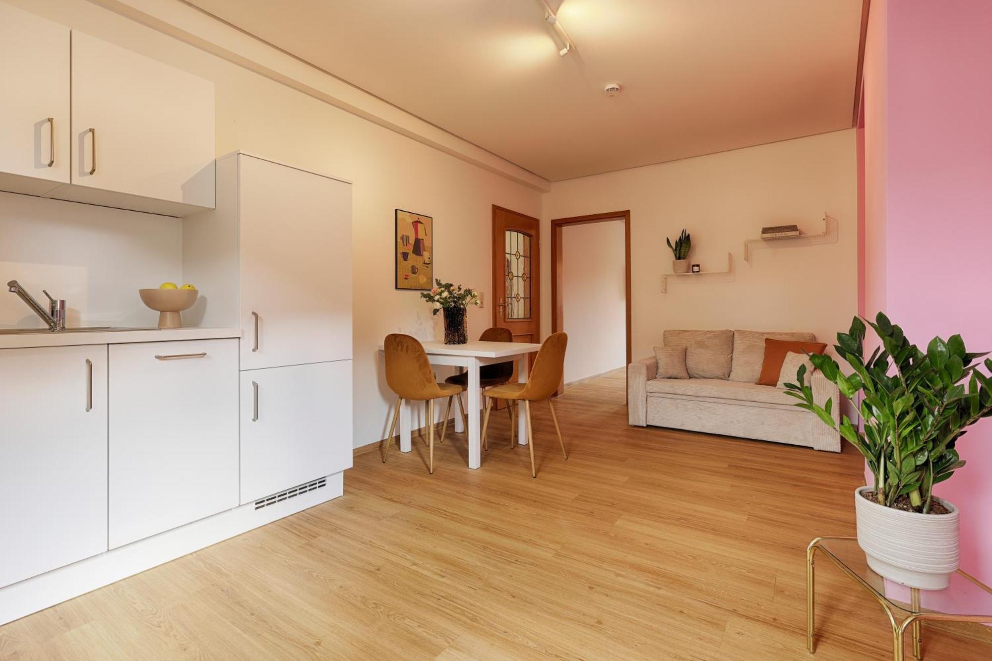 Homie Stay Badgasse - Fewos Am Main Mit Dachterrasse & Fahrradgarage Ochsenfurt Exteriör bild